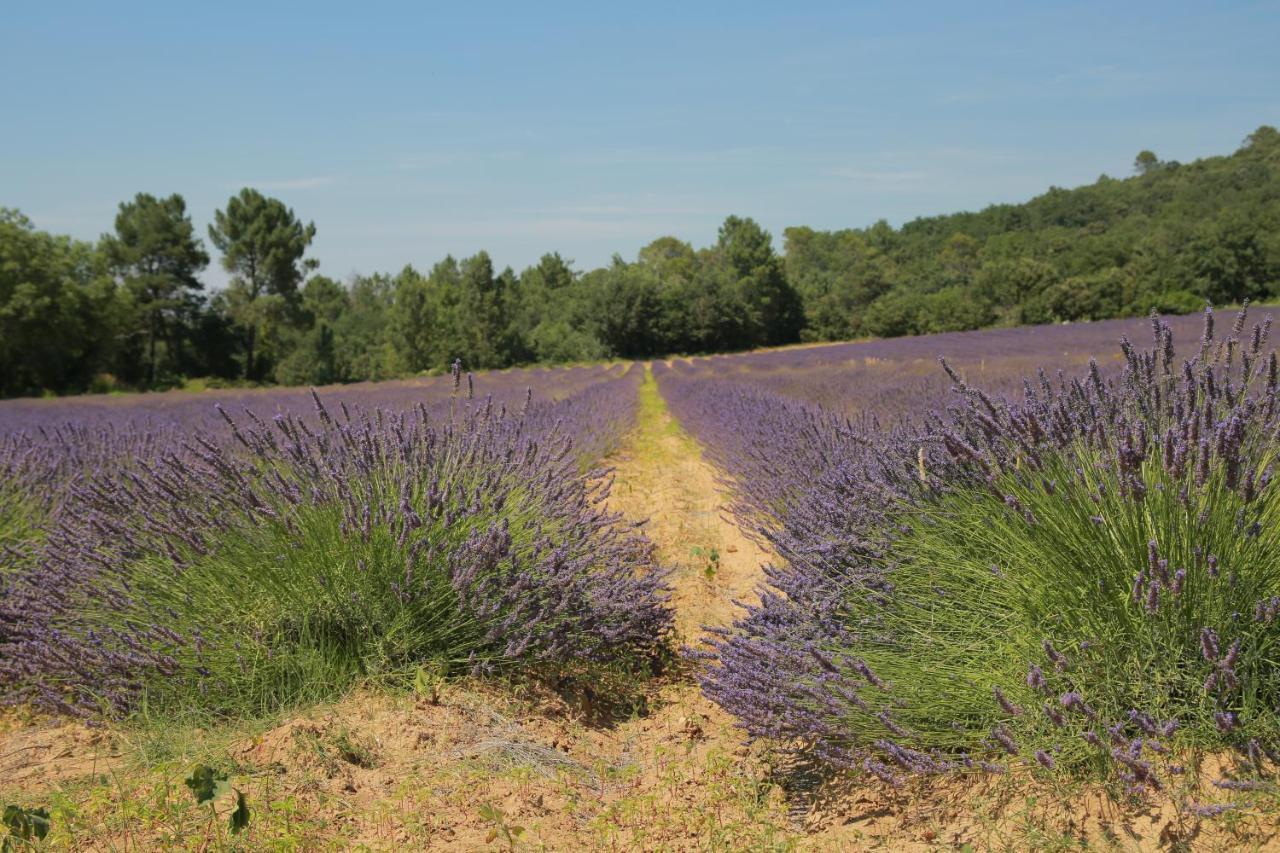 Les Yourtes De Provence Panzió Saint-Paulet-de-Caisson Kültér fotó